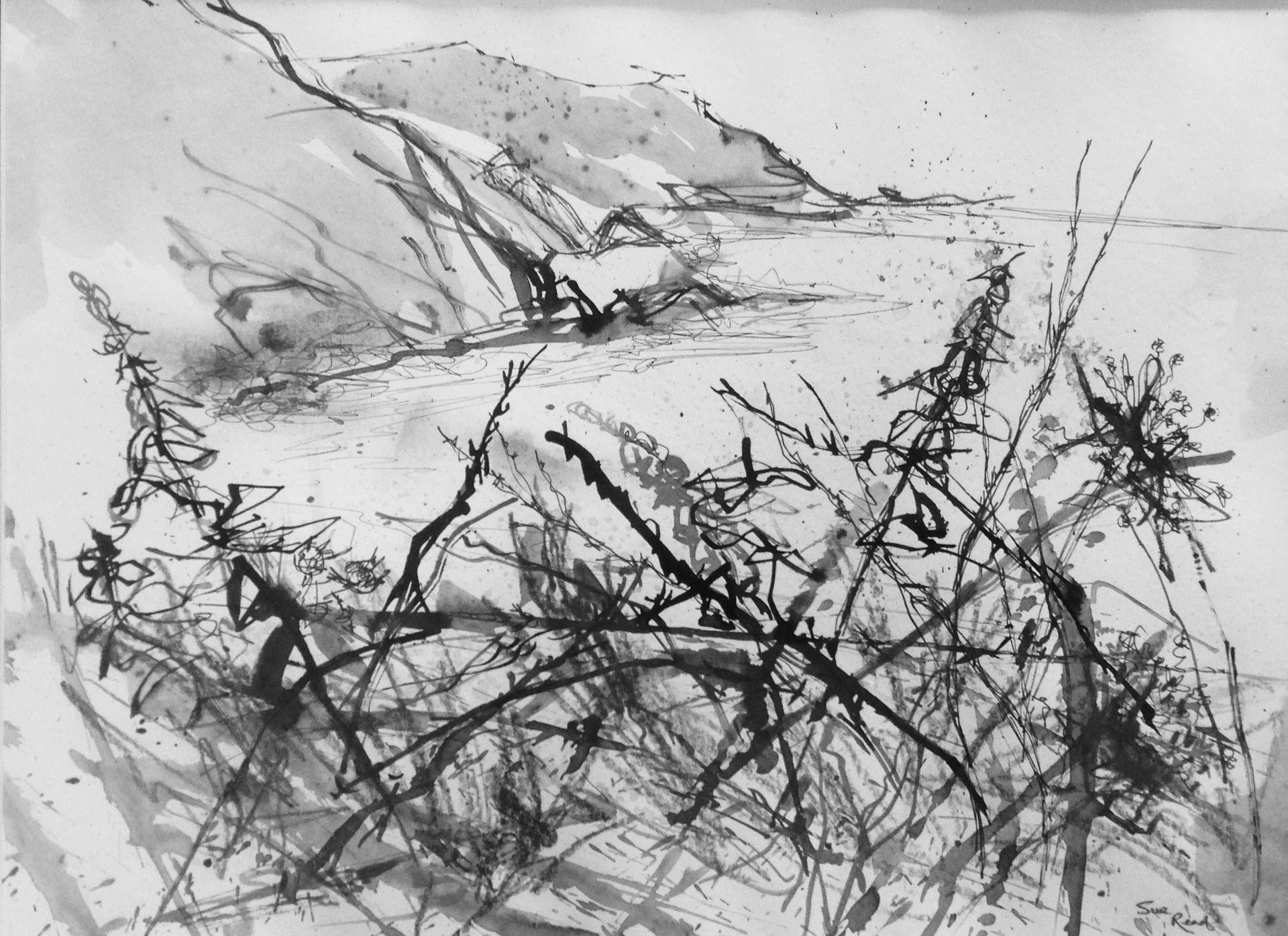 Held my first Art Workshop; discovered I know some ?