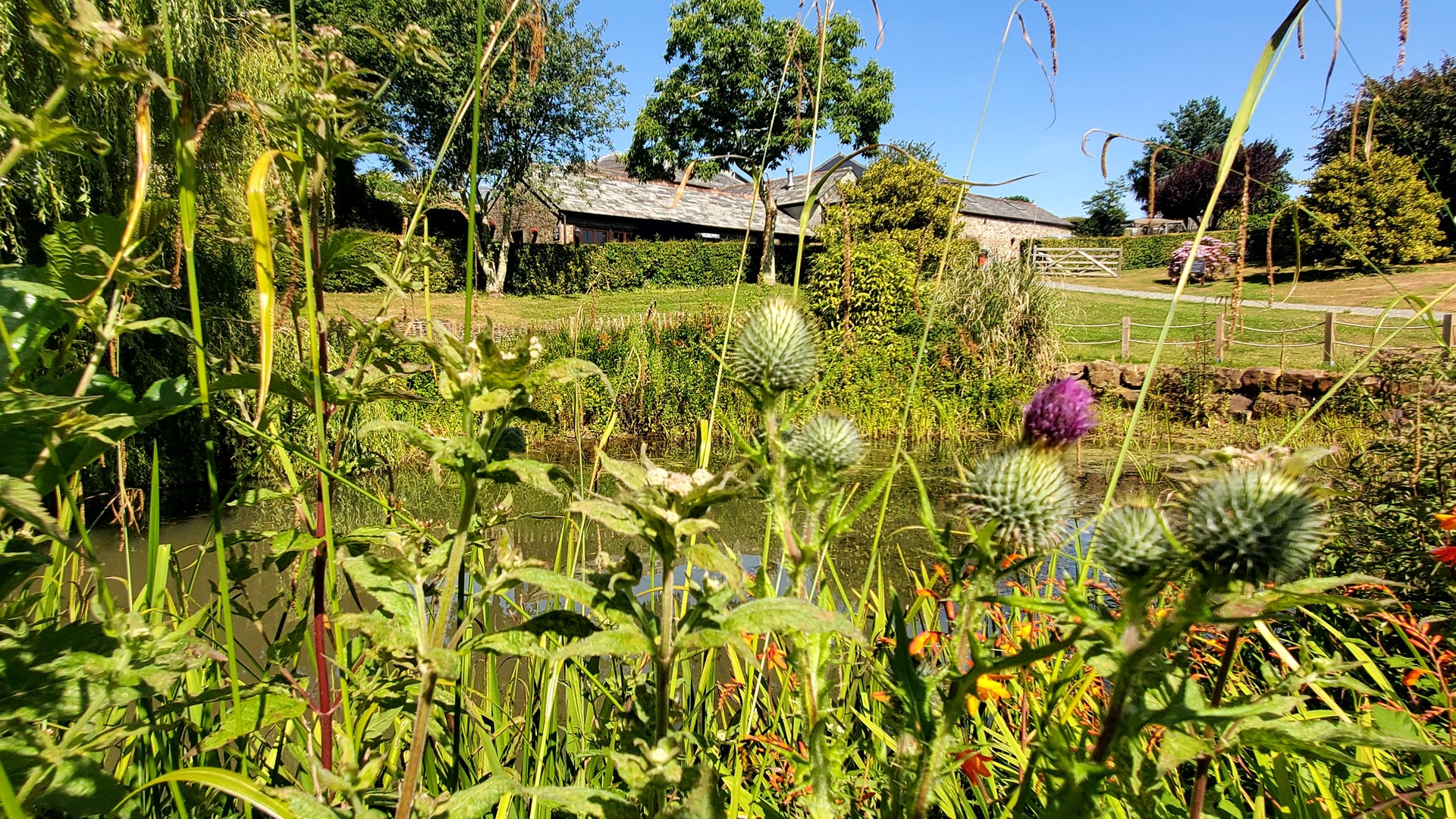 Artist studio set on a farm with wild flowers in the foreground